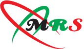 MRS Engineering Solution logo